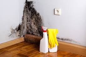  Forty Fort, PA Mold Remediation Pros